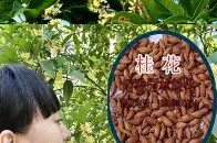 九游体育APP-深一度｜亚洲资格赛窗口开启赛前关键词出炉，后卫线发挥排在前列，一场比赛牵动多条线的简单介绍
